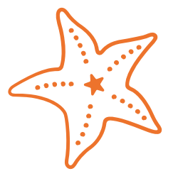 starfish-orange